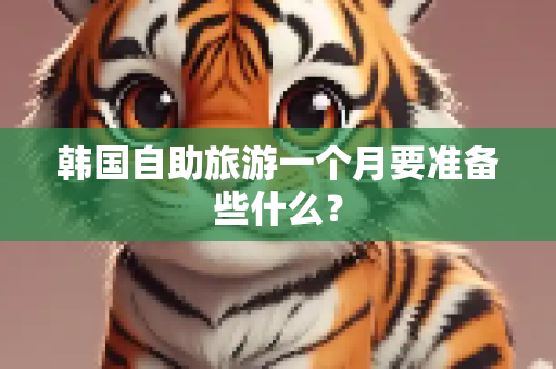 韩国自助旅游一个月要准备些什么？
