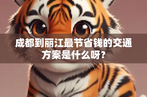 成都到丽江最节省钱的交通方案是什么呀？