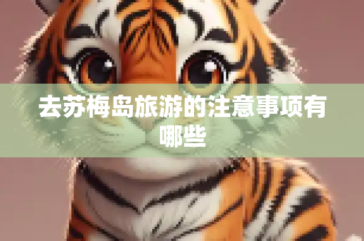 去苏梅岛旅游的注意事项有哪些