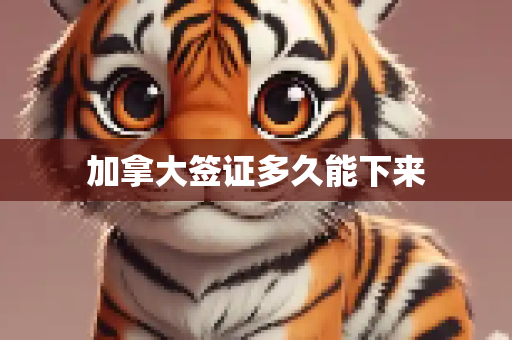 加拿大签证多久能下来