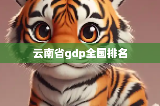 云南省gdp全国排名