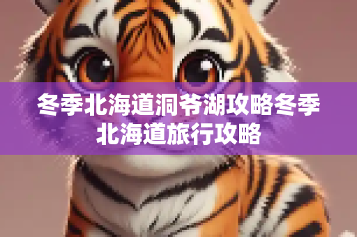 冬季北海道洞爷湖攻略冬季北海道旅行攻略
