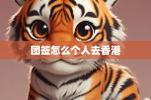 团签怎么个人去香港