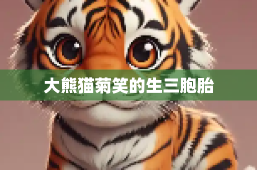 大熊猫菊笑的生三胞胎