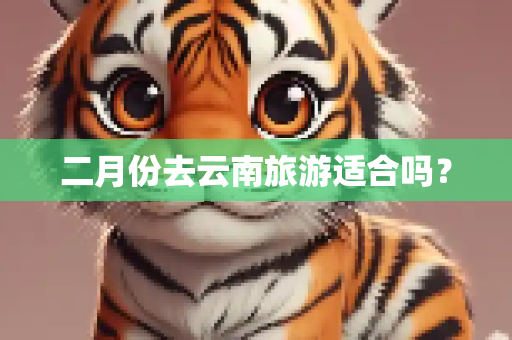 二月份去云南旅游适合吗？