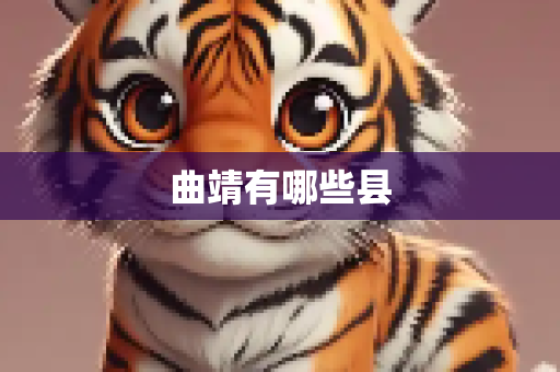 曲靖有哪些县