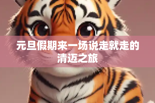 元旦假期来一场说走就走的清迈之旅