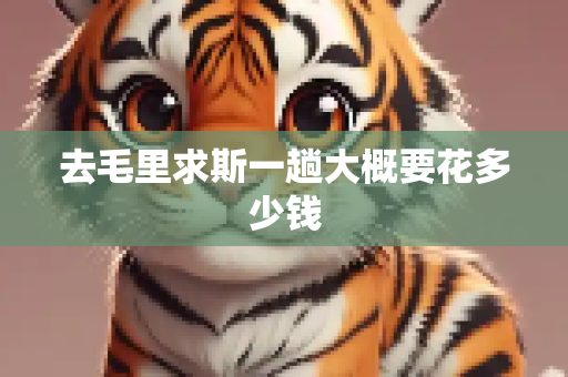 去毛里求斯一趟大概要花多少钱