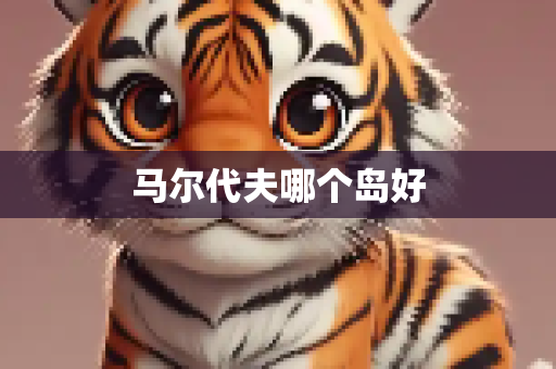 马尔代夫哪个岛好