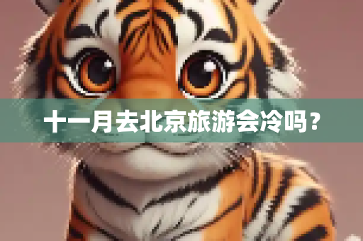 十一月去北京旅游会冷吗？