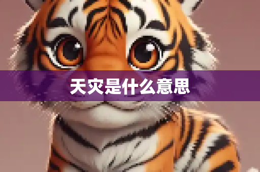 天灾是什么意思