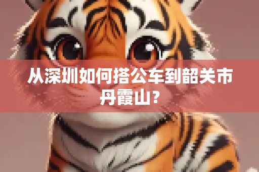 从深圳如何搭公车到韶关市丹霞山？