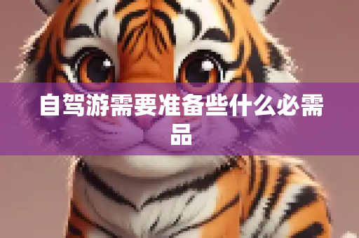 自驾游需要准备些什么必需品