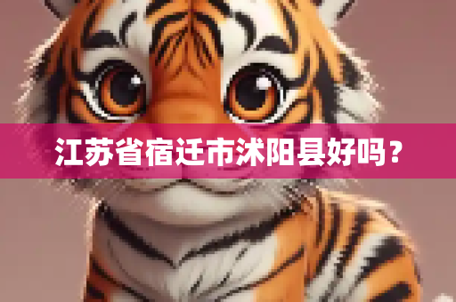 江苏省宿迁市沭阳县好吗？