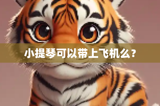 小提琴可以带上飞机么？