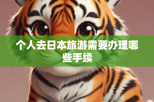 个人去日本旅游需要办理哪些手续