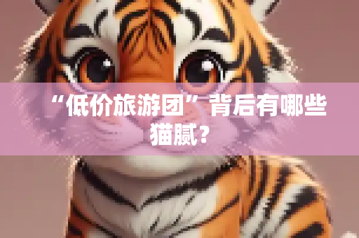 “低价旅游团”背后有哪些猫腻？