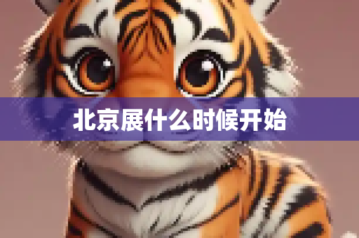 北京展什么时候开始