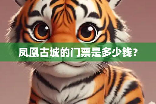 头条经验 第256页
