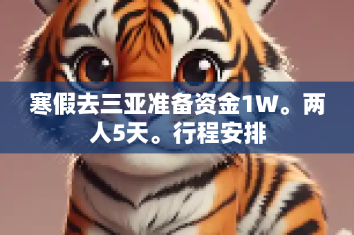 寒假去三亚准备资金1W。两人5天。行程安排