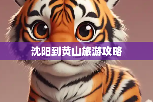 沈阳到黄山旅游攻略