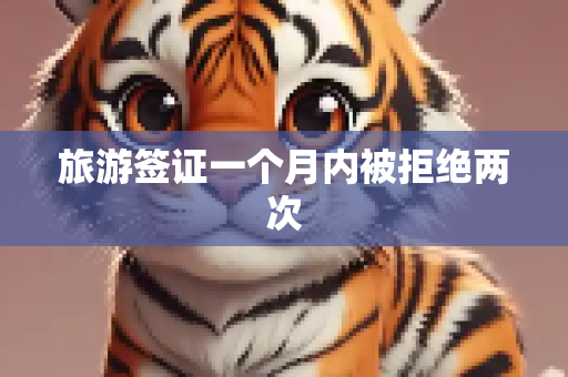 旅游签证一个月内被拒绝两次