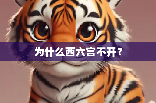 为什么西六宫不开？