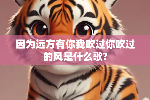 因为远方有你我吹过你吹过的风是什么歌?