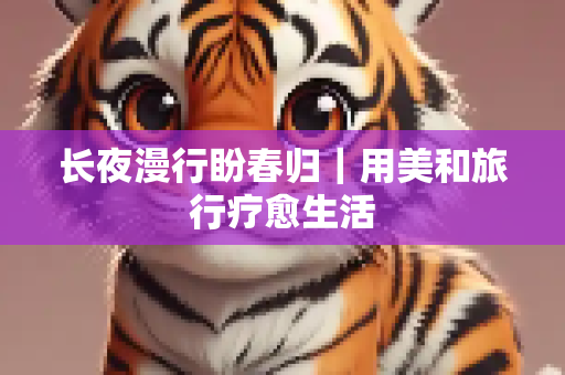 长夜漫行盼春归｜用美和旅行疗愈生活