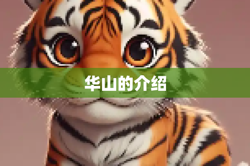 华山的介绍