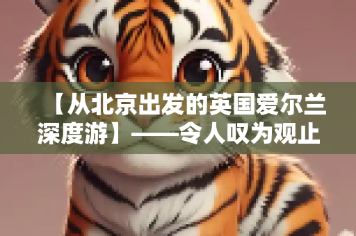 信息资讯 第275页