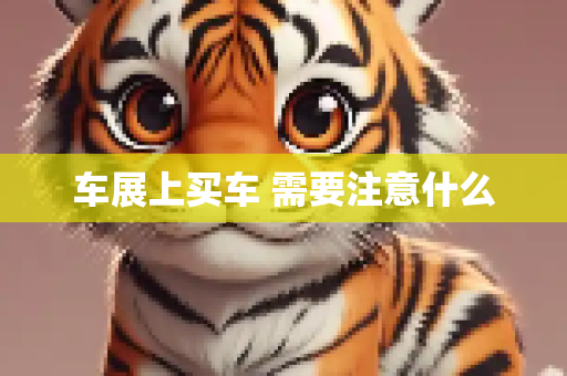 车展上买车 需要注意什么