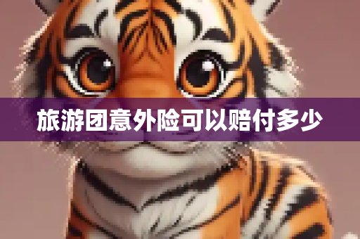 旅游团意外险可以赔付多少