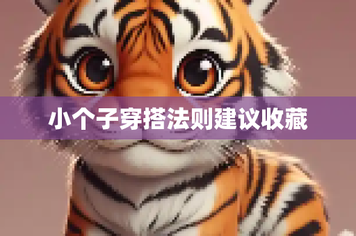 小个子穿搭法则建议收藏