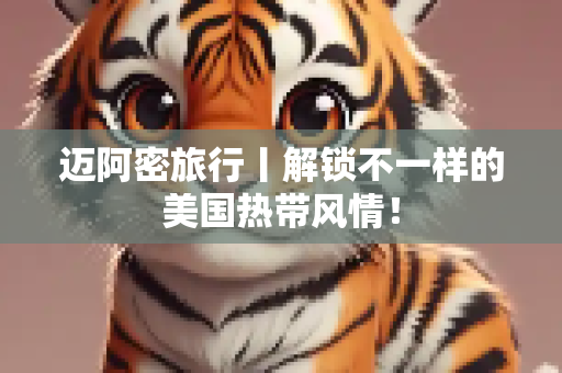 迈阿密旅行丨解锁不一样的美国热带风情！