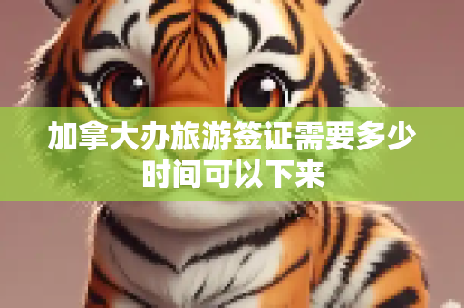 加拿大办旅游签证需要多少时间可以下来
