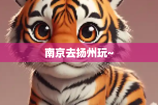 南京去扬州玩~
