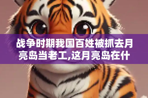战争时期我国百姓被抓去月亮岛当老工,这月亮岛在什么地方?