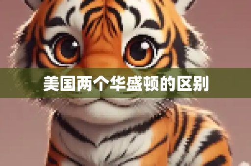 美国两个华盛顿的区别