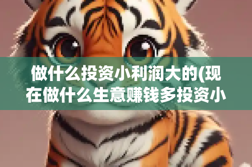 做什么投资小利润大的(现在做什么生意赚钱多投资小利润大？