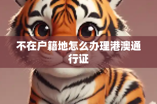 不在户籍地怎么办理港澳通行证