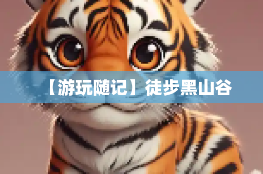 头条经验 第273页