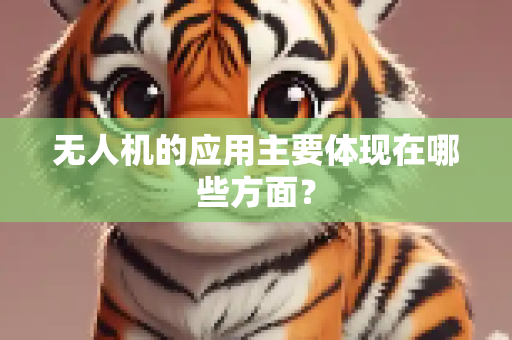无人机的应用主要体现在哪些方面？