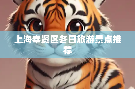 上海奉贤区冬日旅游景点推荐