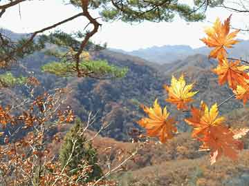 国内4天去哪里旅游好